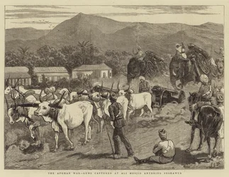 De Afghaanse Oorlog, Gevangen Kanonnen bij Ali Musjid die Peshawur binnenkomen